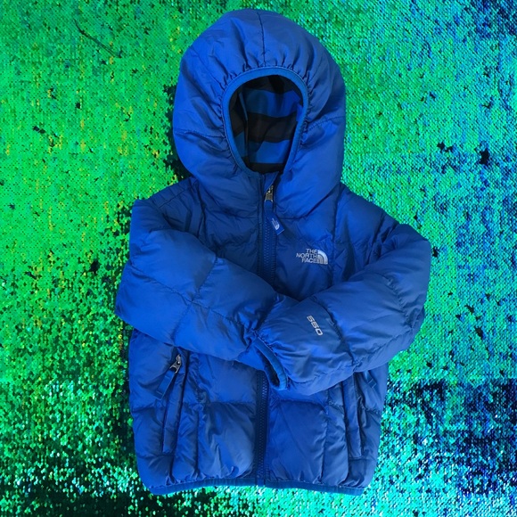 the north face toddler bambin
